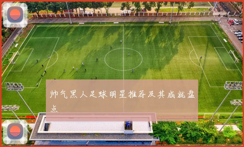 帅气黑人足球明星推荐及其成就盘点
