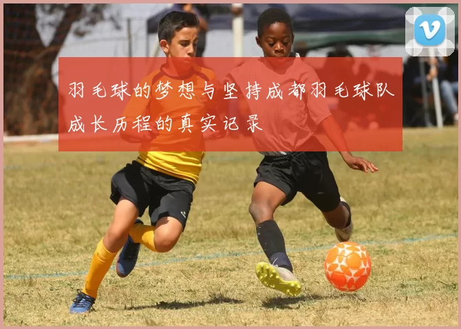 羽毛球的梦想与坚持成都羽毛球队成长历程的真实记录