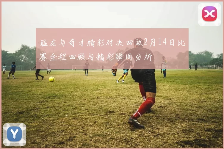 猛龙与奇才精彩对决回放2月14日比赛全程回顾与精彩瞬间分析