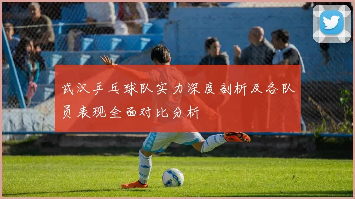 武汉乒乓球队实力深度剖析及各队员表现全面对比分析